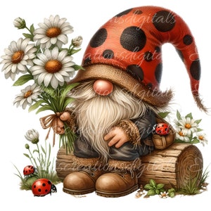LADYBUG GNOME SUBLIMAZIONE png, trasparente per sublimazione alta risoluzione, 5 file per il download