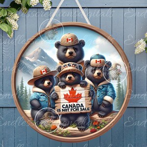 4 CANADA BEREN Niet te koop