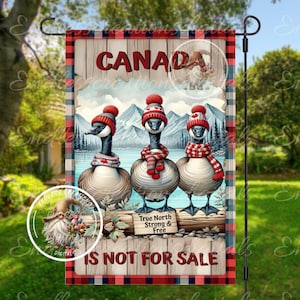 NIET TE KOOP Canadese ganzen 3