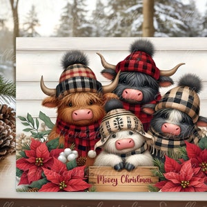 May include: Three Highland cows wearing winter hats and scarves stand in front of a white wood background with red poinsettia flowers. The sign in front of them reads "Mooey Christmas".