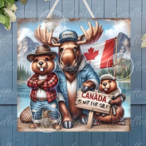 VIERKANTE CANADA BEVER Eland Niet te koop