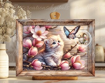 BABY RAGDOLL KITTEN Magnolia