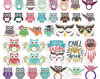 Download School Owl Svg Etsy