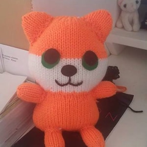 Ginger the Cat