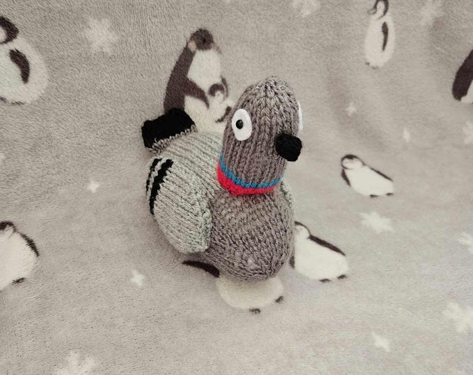 Pigeon