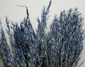 Oat stems Dried Navy blue Oats / Dried Avena Oats / Dried Flowers / Rustic Home Decor