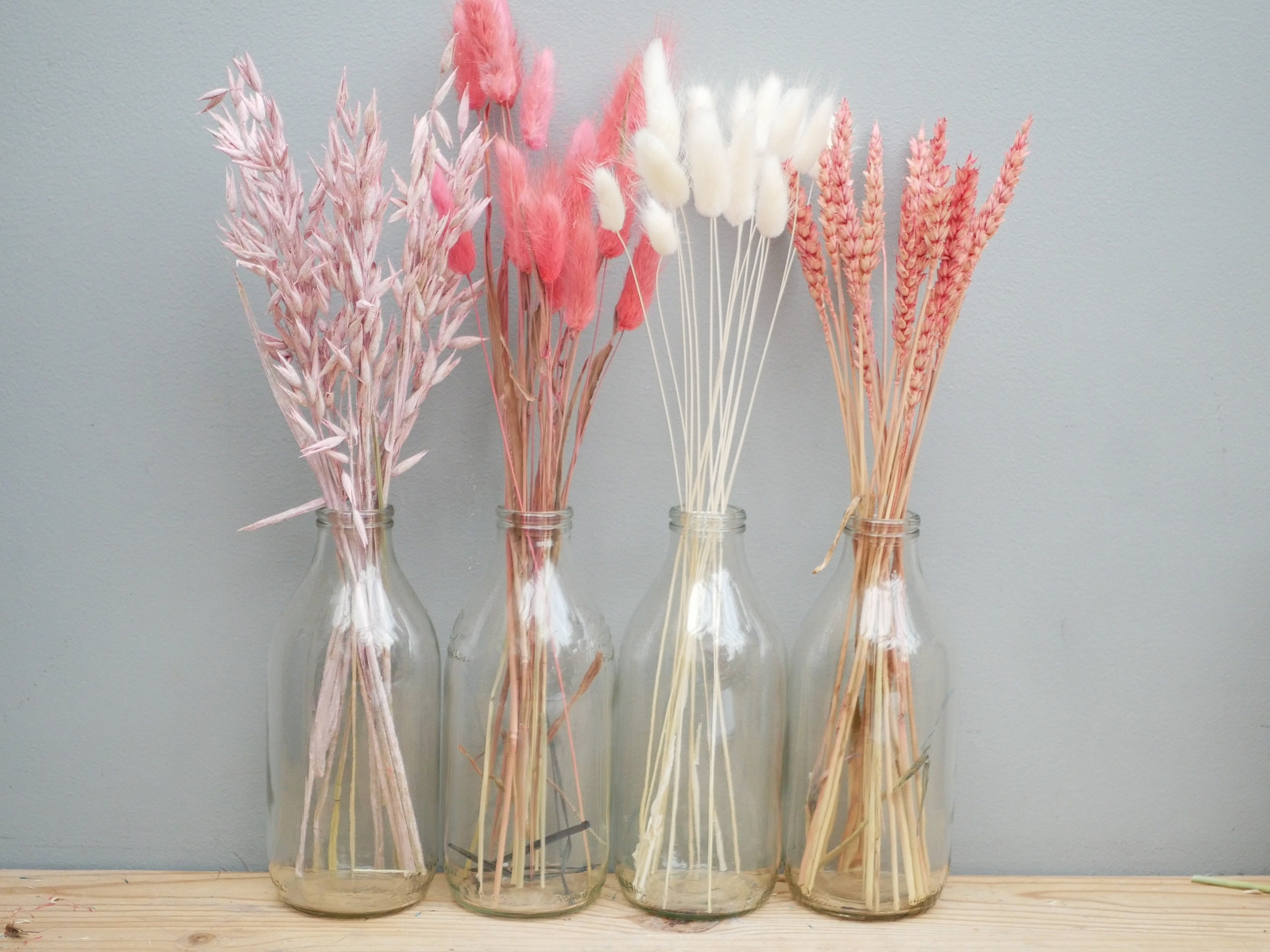 Mix of 4 Dried pink wheat stems / Oat Dried grass /Pink Bunny tails/Dried Flowers / Rustic Home Decor Oat stems