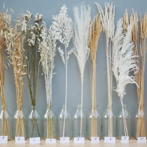 Puede incluir: Una colección de hierbas ornamentales y flores secas en botellas de vidrio transparente. Las hierbas varían en color de beige a blanco, algunas con penachos plumosos. Cada botella está numerada.