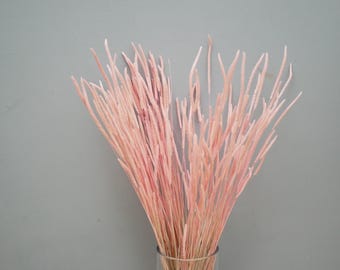 May include: A bundle of dried, pale pink decorative stems in a clear glass vase. The stems are slender and have a feathery appearance, creating a delicate and airy aesthetic. The background is a solid gray, providing a neutral backdrop for the floral arrangement.