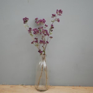 May include: A clear glass bottle contains a small bunch of dried purple flowers. The flowers have delicate stems and small, clustered blooms. The bottle is slender and has a classic milk bottle shape, set against a grey background.