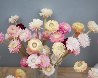 May include: A bouquet of dried flowers in a clear vase. The flowers are a mix of pink, yellow, and cream colors. The stems are thin and brown. The background is a solid light blue.
