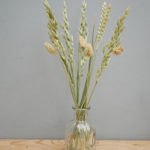 Mix of Dried Natural wheat stems Canary Grass and Oat Dried grass / Dried Flowers / Rustic Home Decor Oat stems image 7