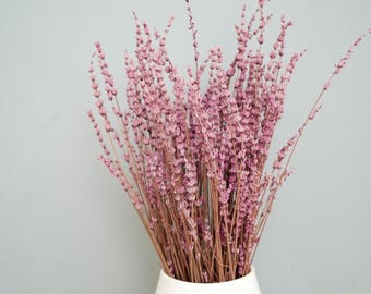May include: A bouquet of dried pink flowers in a white vase. The flowers have a delicate, textured appearance with slender stems. The arrangement is set against a light gray background, creating a soft, natural aesthetic.