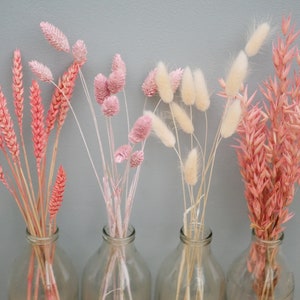 Mix of 4 Dried Pink wheat stems Canary Grass and Oat Dried grass / Dried Flowers / Rustic Home Decor Oat stems