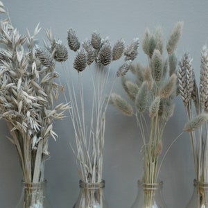 Mix of 4 Dried Grey wheat stems Canary Grass and Oat Dried grass /Bunny tails/Rustic Home Decor Oat stems