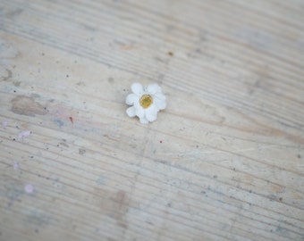 May include: A single small white flower with six rounded petals and a textured yellow center. The flower is positioned on a light-colored wooden surface that features visible grain patterns and subtle signs of wear with small paint flecks.