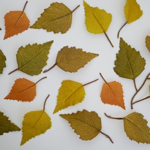 May include: A collection of 15 autumn leaves in various shades of green, yellow, and orange. The leaves are arranged in a scattered pattern on a white background.