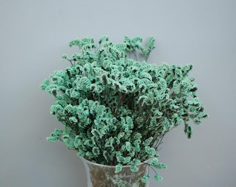 May include: A bouquet of dried flowers with small, clustered, seafoam green blooms. The flowers are in a clear glass vase against a gray background. The flowers have a textured appearance.