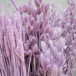Mix di 4 steli di grano Misty Lilac secchi/ Erba scagliola/ Avena erba secca/ Code di coniglio viola chiaro/ Fiori secchi/ Steli di avena per decorazioni rustiche per la casa