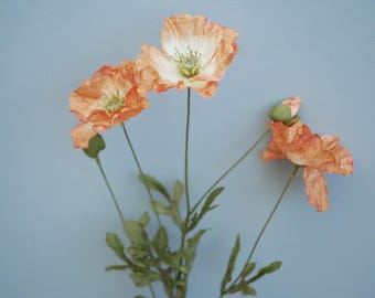 May include: A cluster of orange and white poppy flowers with green stems and leaves against a light blue background. The petals have a delicate, textured appearance. The image showcases the natural beauty of the poppies.