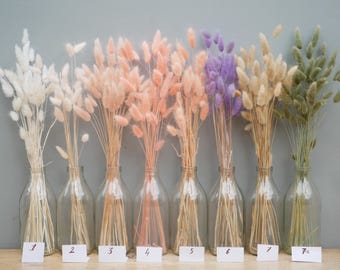 Bunny Tails Dried Flowers  Rustic Home Decor Hares tail grass Dried lagurus