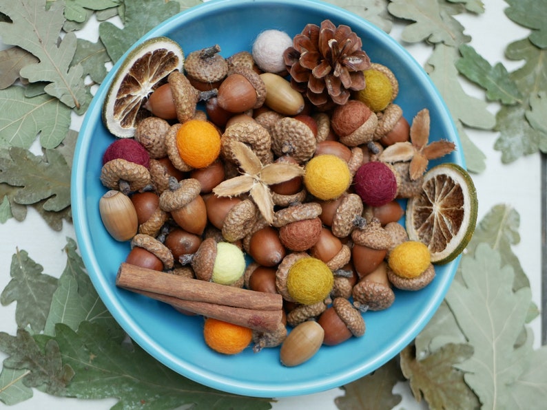 Acorns natural,Dried oak tree acorns with cups Nuts,Fall Decoration, acorn ornaments,Acorns with Cups autumn decor wedding centerpiece image 7