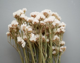 Puede incluir: Un ramo de flores blancas secas con tallos verdes. Las flores son pequeñas y están agrupadas.