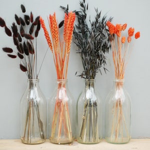 Mix of 4 Dried Orange wheat/ Canary Grass / Oat stems /Bunny tails Dried Flowers /Autumn decor/Halloweeen Decor