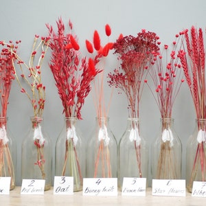 Mix of Dried Red oat stems Bunny tails Red flax broom bloom and red wheat/ Bunny tails/Dried Flowers /