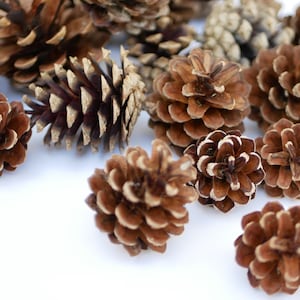 Pine cones,Fall Decoration, Floral supplies, autumn decor wedding centerpiece