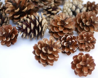 Pine cones,Fall Decoration, Floral supplies, autumn decor wedding centerpiece