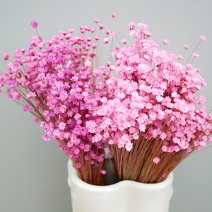 Può includere: Un mazzo di fiori secchi rosa in un vaso bianco. I fiori sono disposti in uno stile sciolto e naturale.