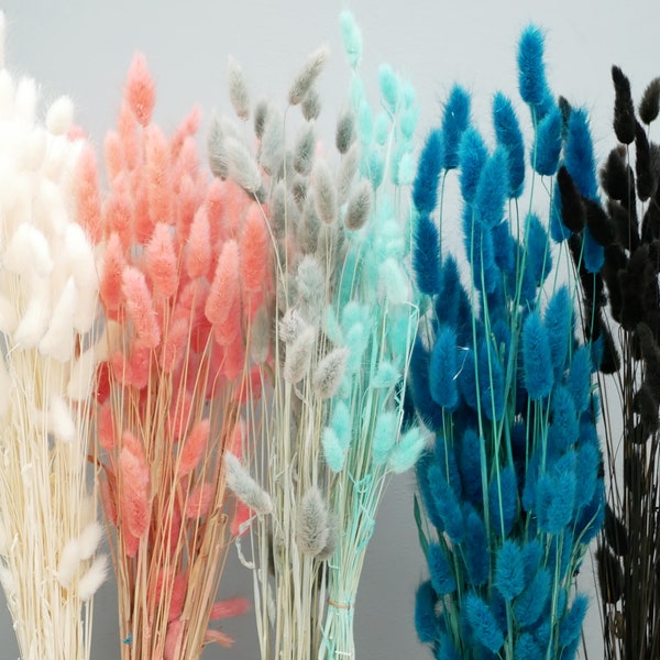 Bunny Tails Dried Flowers  Rustic Home Decor Ecru Ivory Teal Salmon pink Turquoise Hares tail grass