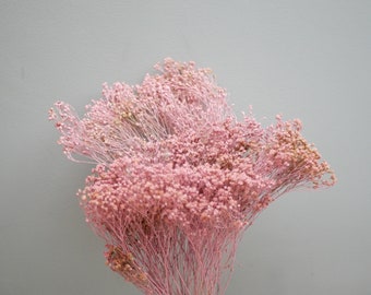 Dried Broom- pink/ Dried Flowers | Rustic Home Wedding