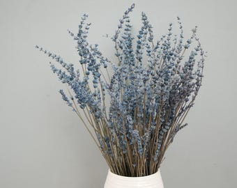 May include: A bouquet of dried lavender in a white ceramic vase. The lavender has a muted blue hue, with slender stems and delicate flower heads. The vase is cylindrical and sits against a light gray background.