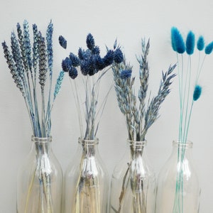 Mix of 4 Dried Navy blue wheat stems/ Canary Grass / Oat Dried grass / Bunny tails/Dried Flowers / Rustic Home Decor Oat stems