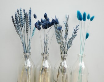 Mix of 4 Dried Navy blue wheat stems/ Canary Grass / Oat Dried grass / Bunny tails/Dried Flowers / Rustic Home Decor Oat stems