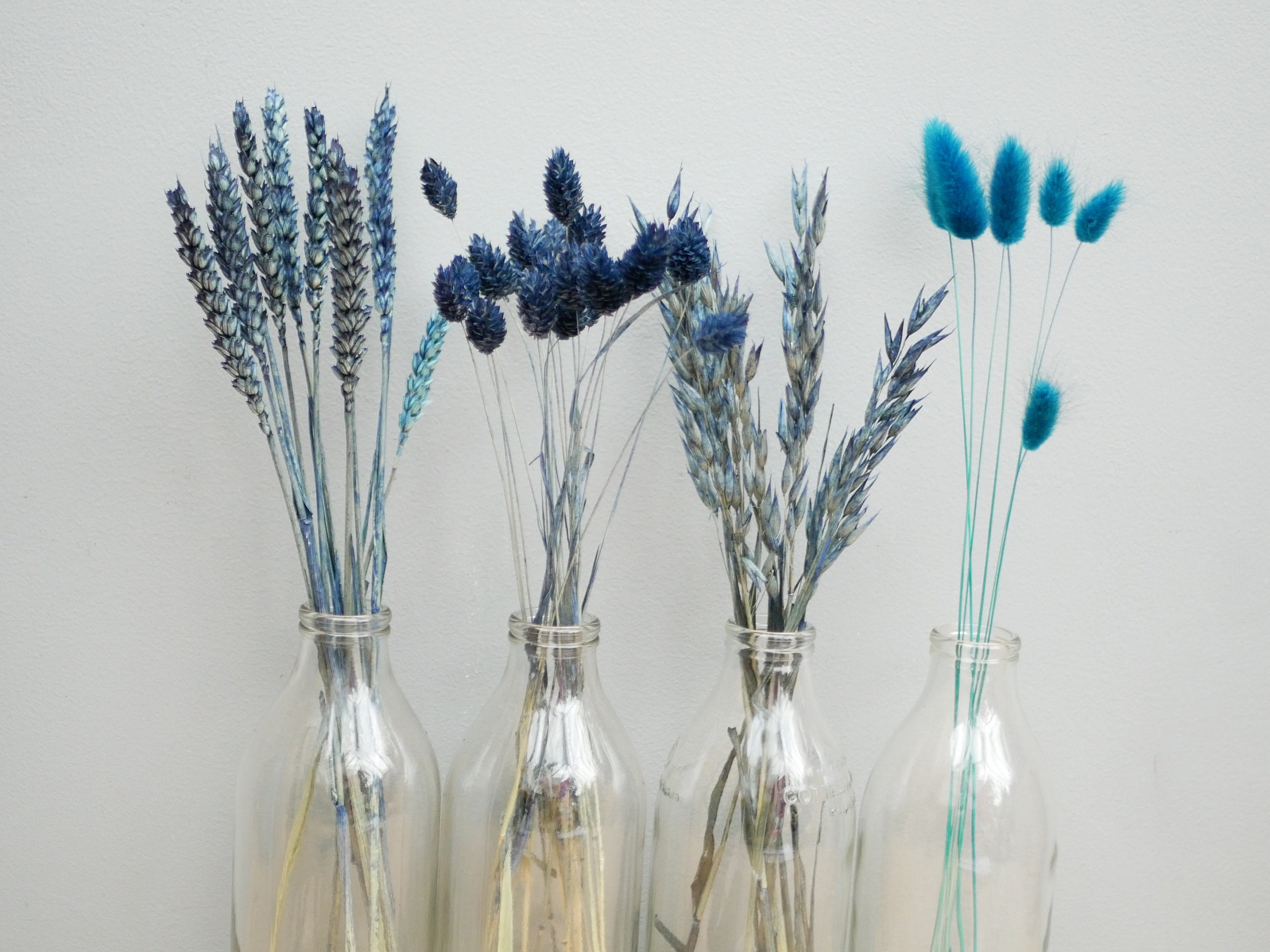 Mix Of 4 Dried Navy Blue Wheat Stems/ Canary Grass/Oat Grass Bunny Tails/Dried Flowers Rustic Home Decor Stems