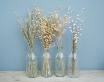 May include: Four clear glass bottles arranged in a row, each containing a different variety of dried botanical stems. The collection includes tall grey grasses, golden oat stalks, fluffy beige bunny tails, and delicate white star-shaped flowers.