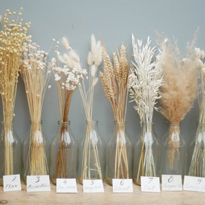 Mix of White and cream wheat stems mothers Day Gift / Canary Grass /Oat Dried grass / Bunny tails/Wedding Dried Flowers/