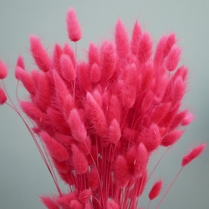 Bunny Tails in  Dried Flowers Hot Pink ~ Cerise ~ MagentaRustic Home Decor