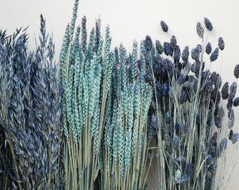 Mix of 3 Dried Navy blue wheat stems/ Canary Grass / Oat Dried grass / Dried Flowers / Autumn decor/ Rustic Home Decor Oat stems