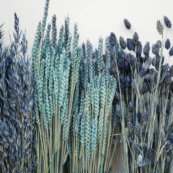 Mix of 3 Dried Navy blue wheat stems/ Canary Grass / Oat Dried grass / Dried Flowers / Autumn decor/ Rustic Home Decor Oat stems