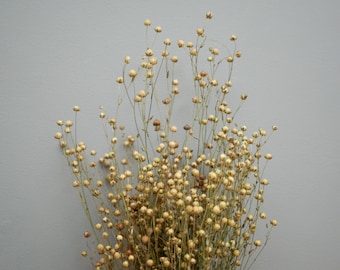 Flax- natural deep cream/brown / Dried Flowers | Rustic Home Wedding