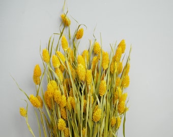 Puede incluir: Un ramo de flores amarillas secas con tallos verdes largos. Las flores están dispuestas en un ramo y están sobre un fondo gris claro.