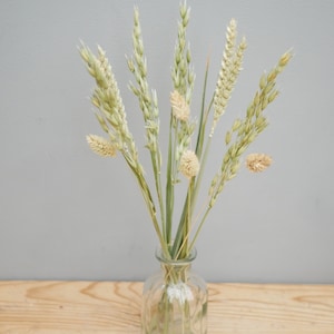 Mix of Dried Natural wheat stems Canary Grass and Oat Dried grass / Dried Flowers / Rustic Home Decor Oat stems image 8