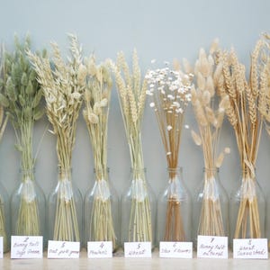 May include: Nine different types of dried grasses and flowers in clear glass bottles. The bottles are labelled with the names of the grasses and flowers, including "Wild Grass Sage Green", "Bunny Tails Sage Green", "Oat Pink", "Wheat", "Star Flowers", "Bunny Tails Mutu Rad", "Wheat Sunwashed", and "Wild Oat".