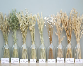 May include: Nine different types of dried grasses and flowers in clear glass bottles. The bottles are labeled with the names of the grasses and flowers, including "Wild Grass Sage Green", "Bunny Tails Sage Green", "Oat Pink", "Wheat", "Star Flowers", "Bunny Tails Mutu Rad", "Wheat Sunwashed", and "Wild Oat".