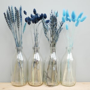 Mix of 4 Dried Navy blue wheat stems/ Canary Grass / Oat Dried grass / Bunny tails/Dried Flowers / Rustic Home Decor Oat stems