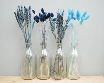 Mix of 4 Dried Navy blue wheat stems/ Canary Grass / Oat Dried grass / Bunny tails/Dried Flowers / Rustic Home Decor Oat stems